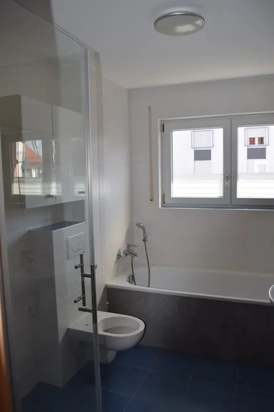 Michaela Hain Immobilien - Badewanne und Waschbecken