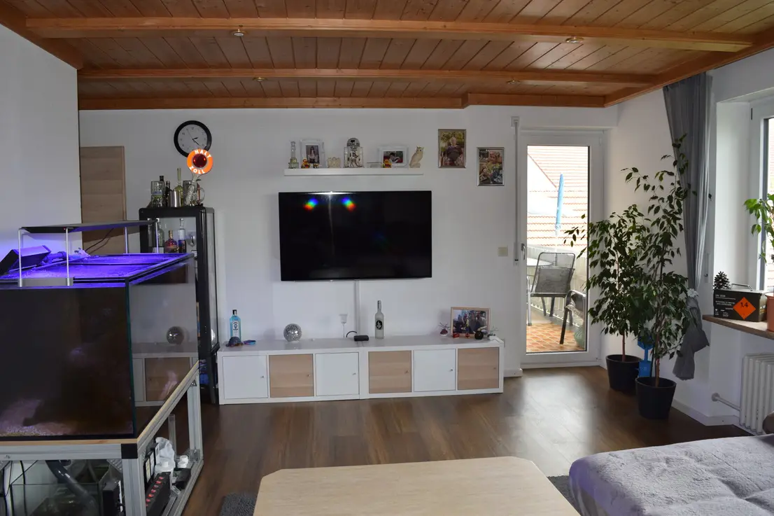 Michaela Hain Immobilien - Wohnung Wohnzimmer mit großer LED, Balkonblick