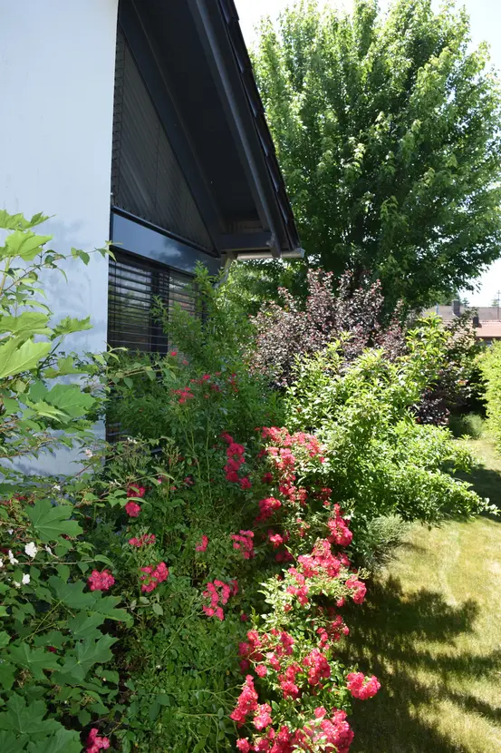 Michaela Hain Immobilien - Wohnung Wohnzimmer mit großflächiger LED