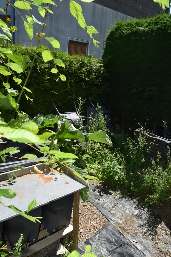 Michaela Hain Immobilien - Wohnung Wohnzimmer mit großflächiger LED