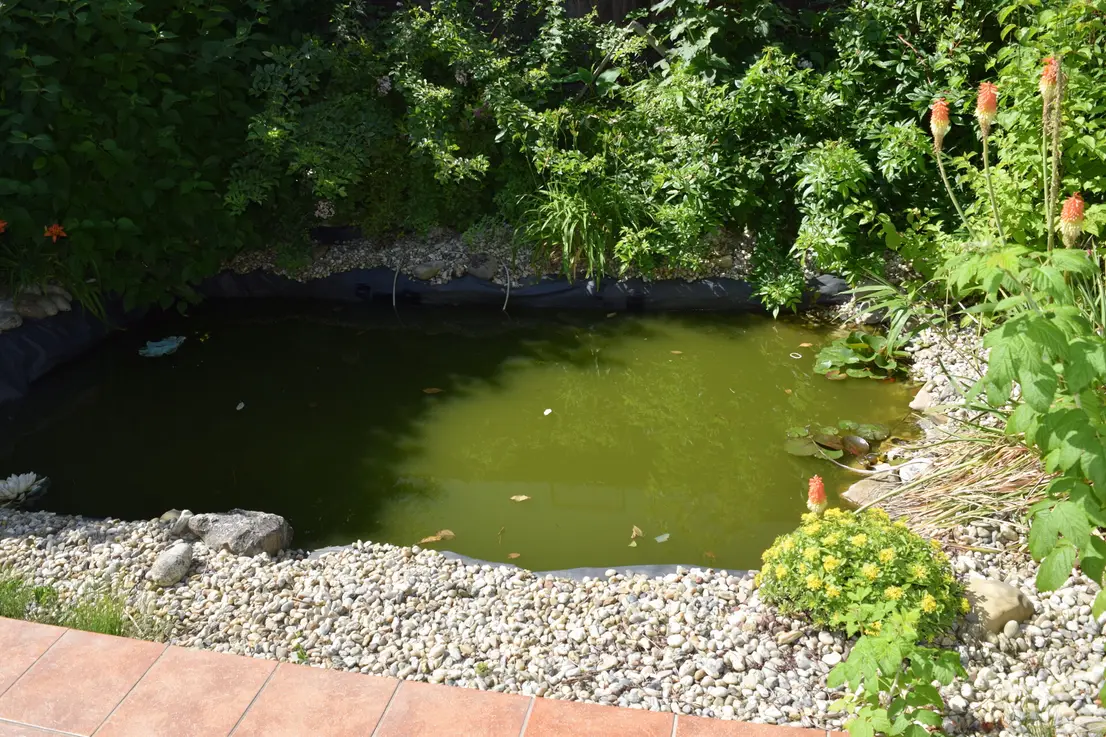 Michaela Hain Immobilien - Wohnung Wohnzimmer mit großer LED, Balkonblick