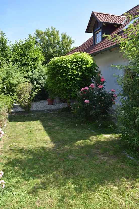 Michaela Hain Immobilien - Wohnung Wohnzimmer mit großer LED, Balkonblick