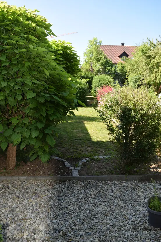 Michaela Hain Immobilien - Wohnung Wohnzimmer mit großer LED, Balkonblick