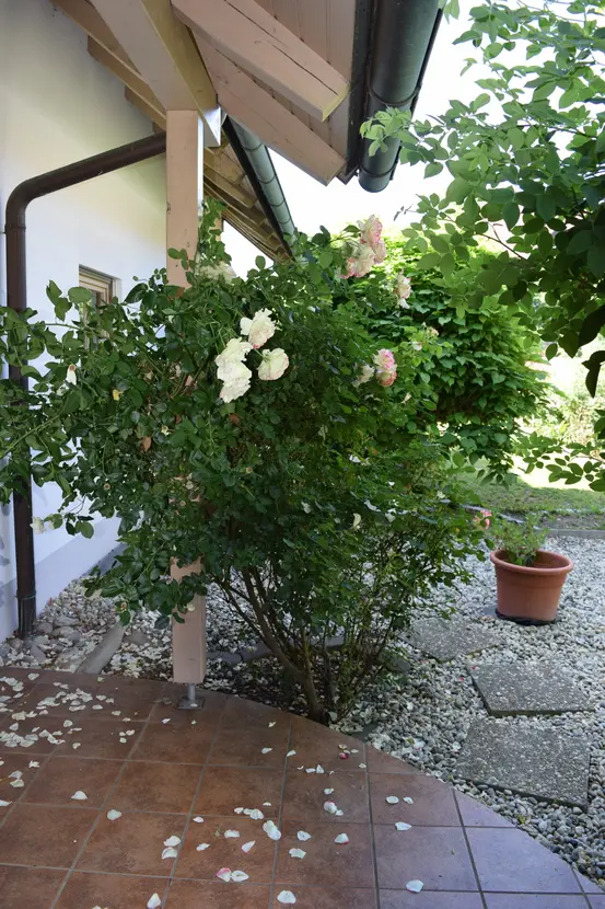 Michaela Hain Immobilien - Wohnung Wohnzimmer mit großer LED, Balkonblick