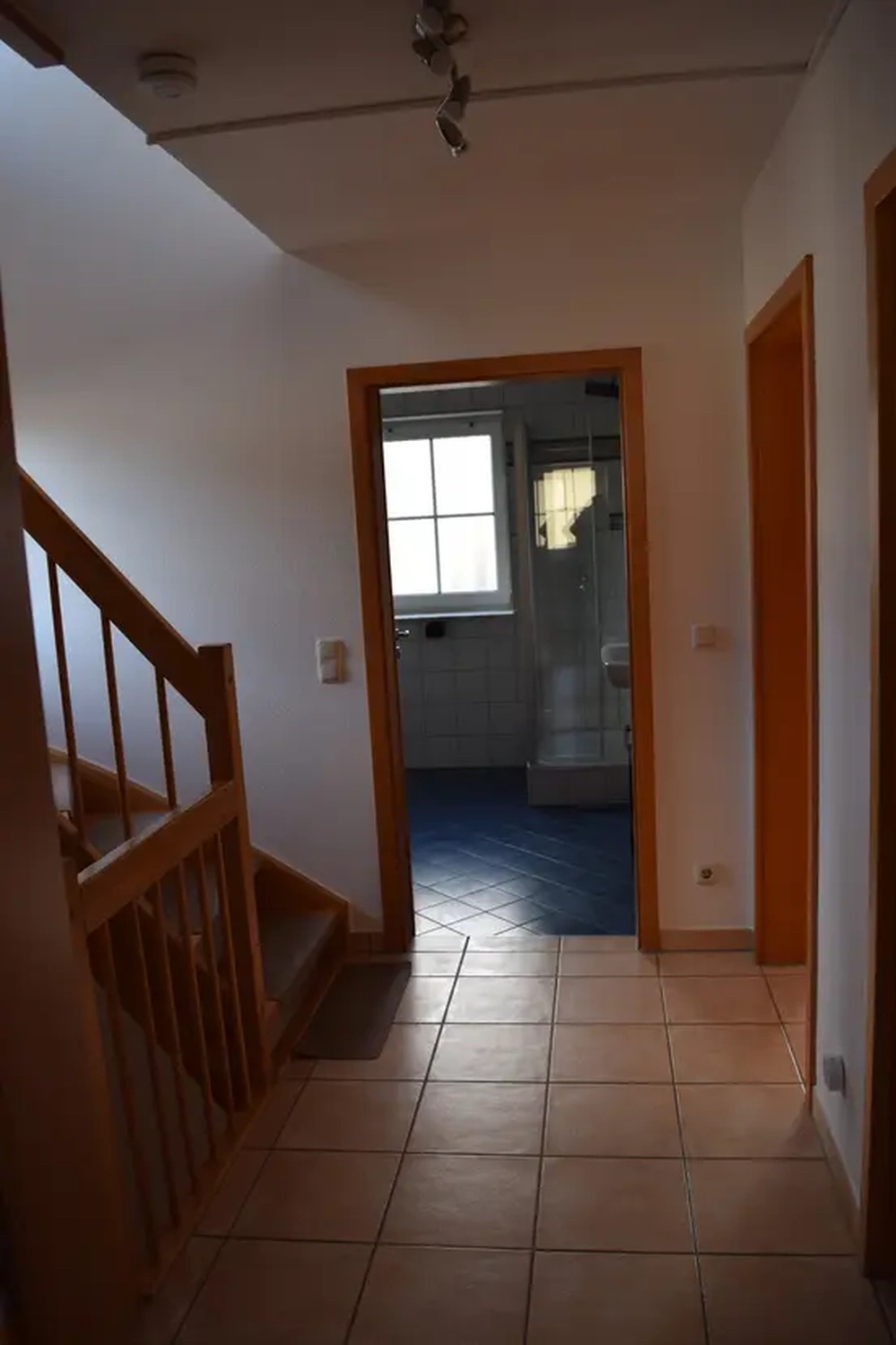 Michaela Hain Immobilien - Wohnung Wohnzimmer mit großer LED, Balkonblick