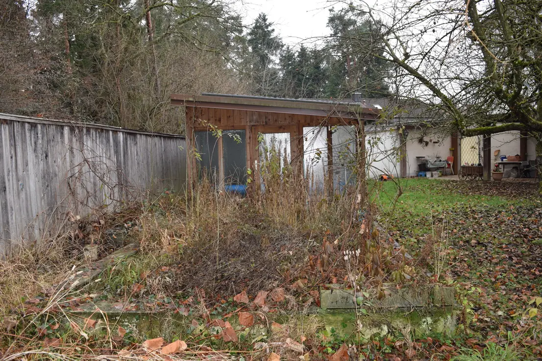 Michaela Hain Immobilien - Wohnung Wohnzimmer mit großflächiger LED