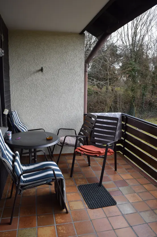 Michaela Hain Immobilien - Wohnung Wohnzimmer mit großer LED, Balkonblick